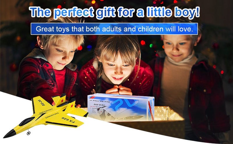 RC Plane 2CH Remote Control Plane Carousel 2