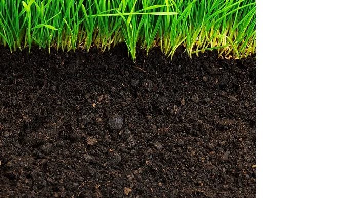 5m3 Premium Lawn Mix: High-Grade Screened Top-Soil Carousel 1