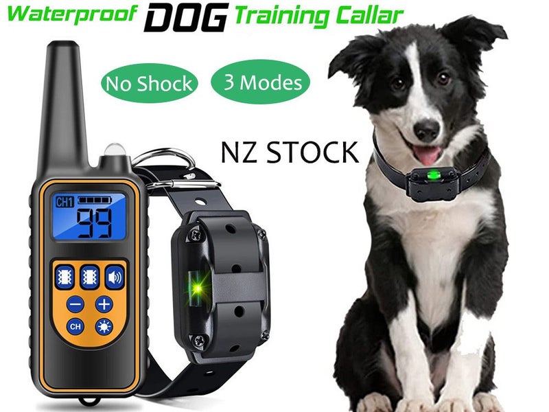 PTN NEW Dog Training Collar Sale - Sale Carousel 1