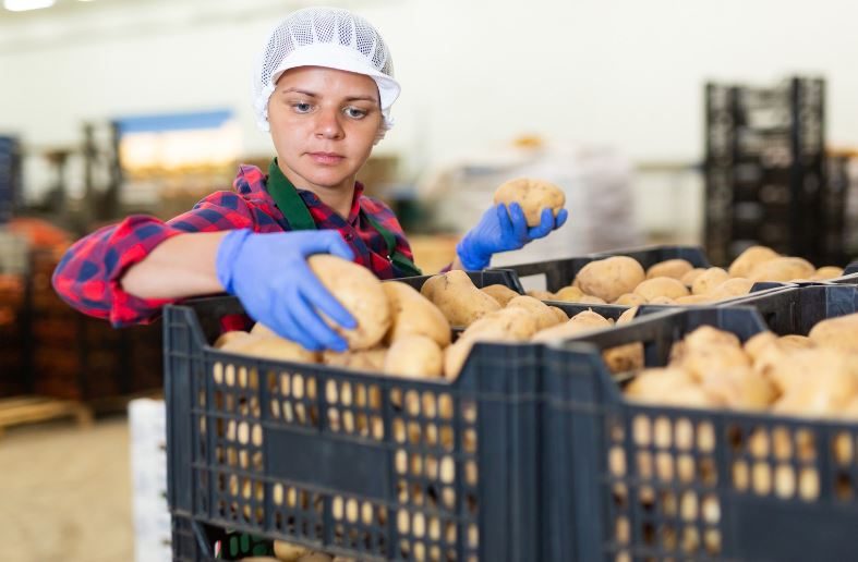 Personnel Placements Carousel 1