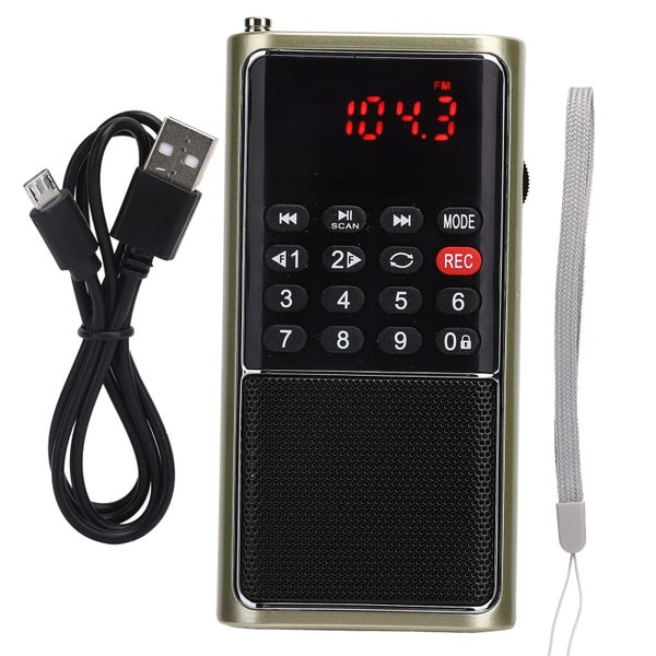L-338 Portable FM Radio Portable Multifunctional Radio Player for Memory Card Carousel 3