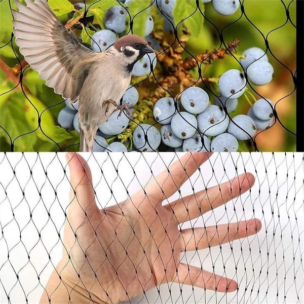 Bird Netting Net Anti Pest Commercial Fruit Trees Plant 5X30m Mesh Black Carousel 2