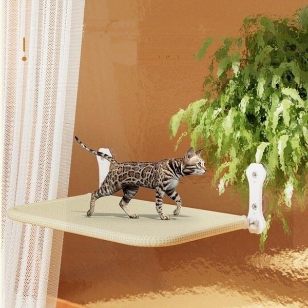 Cat Wall Hammock Suction Cups Foldable Window Perch For Cats Inside All Seasons Carousel 2