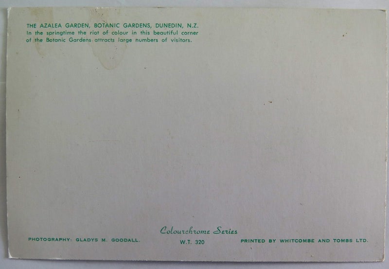 "THE AZALEA GARDEN BOTANIC GARDENS, DUNEDIN, N.Z. " VINTAGE POSTCARD Carousel 2