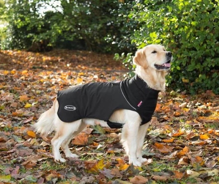 DOG COAT SCRUFFS THERMAL 55CM BLACK Carousel 1