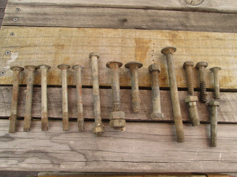 A collection of medium size bolts and a couple of screws Carousel 1