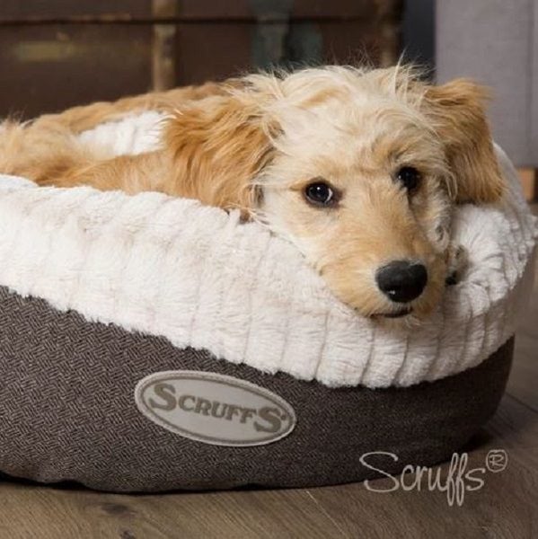 DOG BED SCRUFFS DONUT DOG BED MEDIUM 55cm GREY Carousel 6