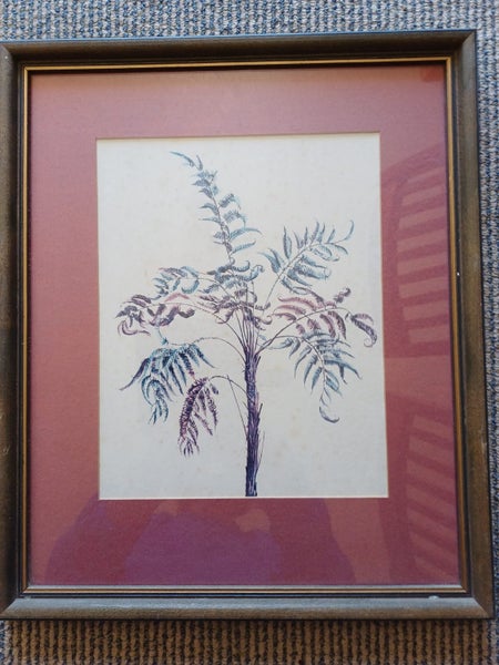 2 x vintage NZ native plant prints from Tasman Gallery (Chch) Carousel 5
