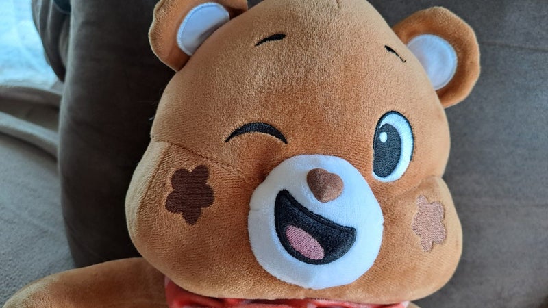 Care Bears Earth love Bear doll Carousel 5
