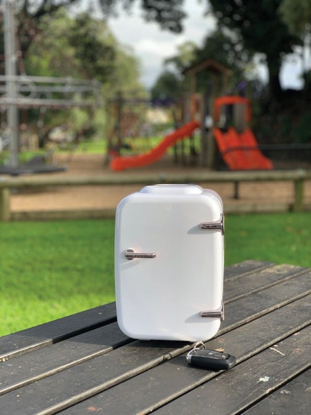 Sheffield Portable Mini Fridge and Warmer, White Carousel 8