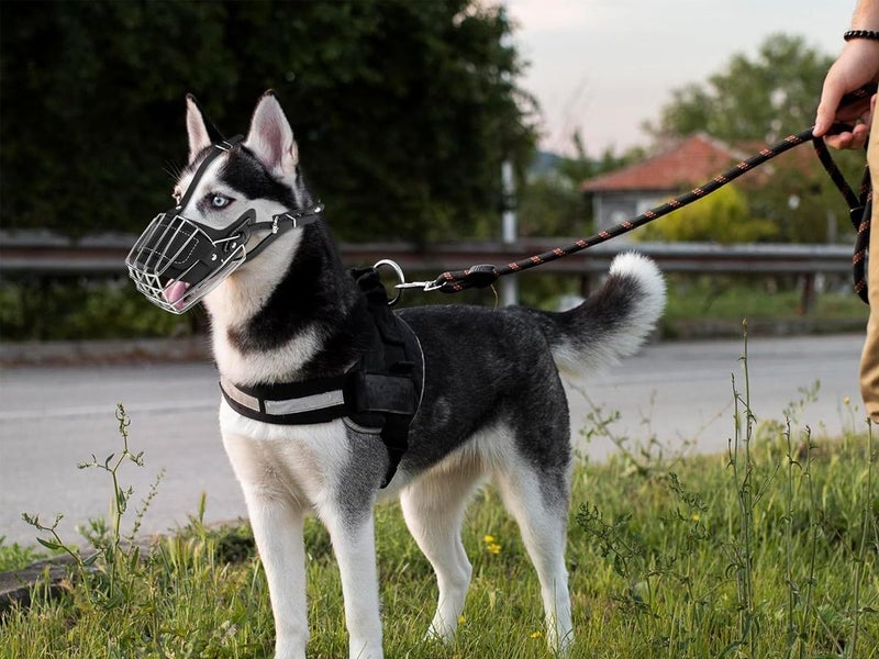 Dog Muzzle Wire Basket NZ Clearance Carousel 2