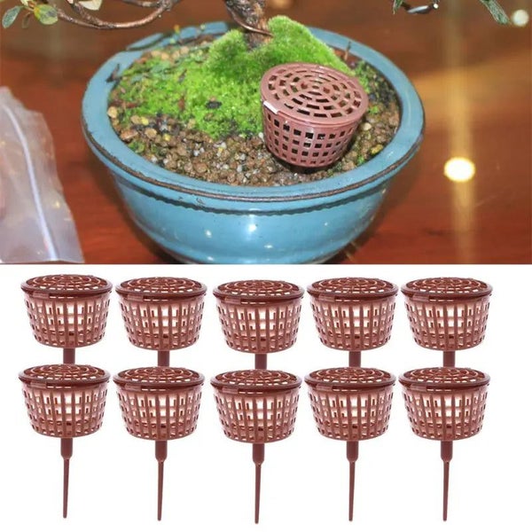 Planting Fertilizer Baskets Bonsai Tools Automatic Fertilization Plastic CHK29M Carousel 1