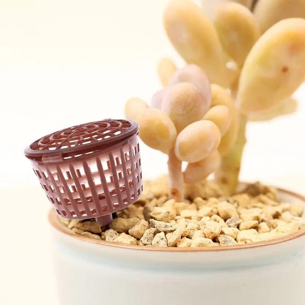 Planting Fertilizer Baskets Bonsai Tools Automatic Fertilization Plastic CHK29M Carousel 2