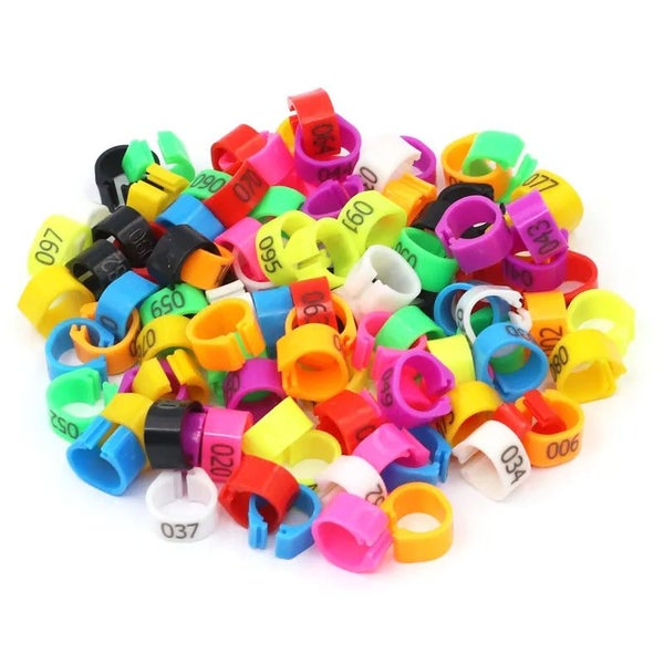 100 Pcs 10 Colors Foot Ring with Text Bird Parrot Pigeon Training Tools 8 CHK29M Carousel 1