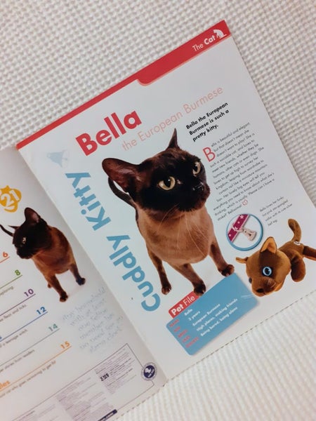 1book & free toy, Cat Collection, Burmese, cat, kitten. Carousel 2