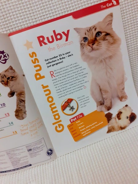 1book & free toy, Cat Collection, Birman, cat, kitten. Carousel 2