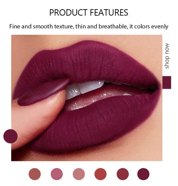 6pcs beautiful waterproof lipstick Carousel 7