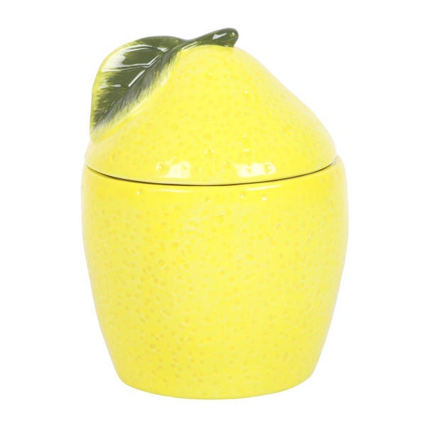 Lemon Oil Burner Carousel 1