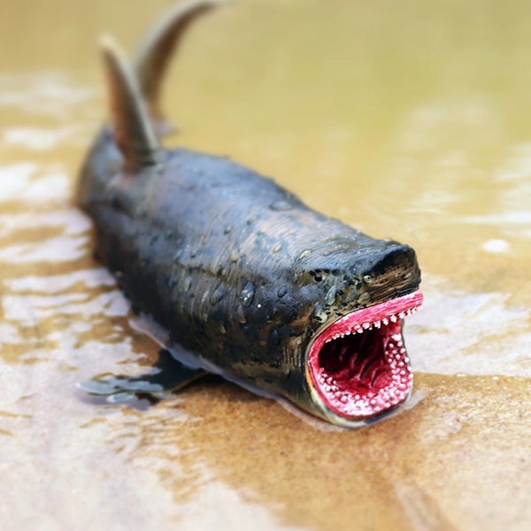 Lifelike Sea Animal Figure High Simulation Animal Carousel 3