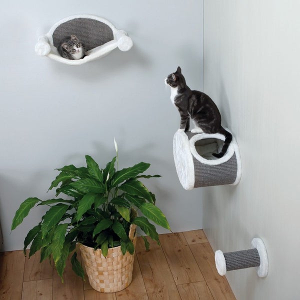 Cat Climbing Step Wall Mounted Carousel 3