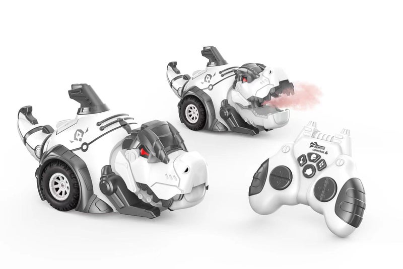 RC Dinosaur Carousel 1