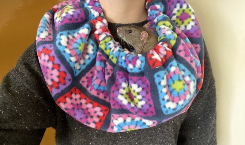 Patterned Rat/Small Animal Bonding Scarf - Choose your pattern! Carousel 1