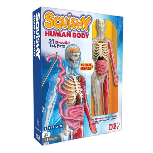 Smart Lab Squishy Human Body Carousel 1