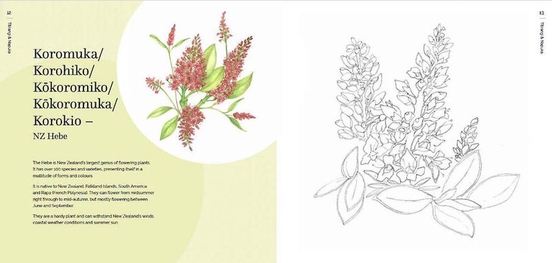 The New Zealand Native Flower Colouring Book Carousel 2