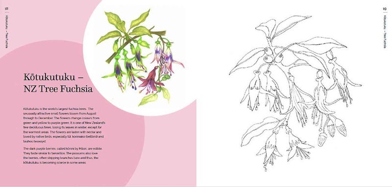 The New Zealand Native Flower Colouring Book Carousel 3