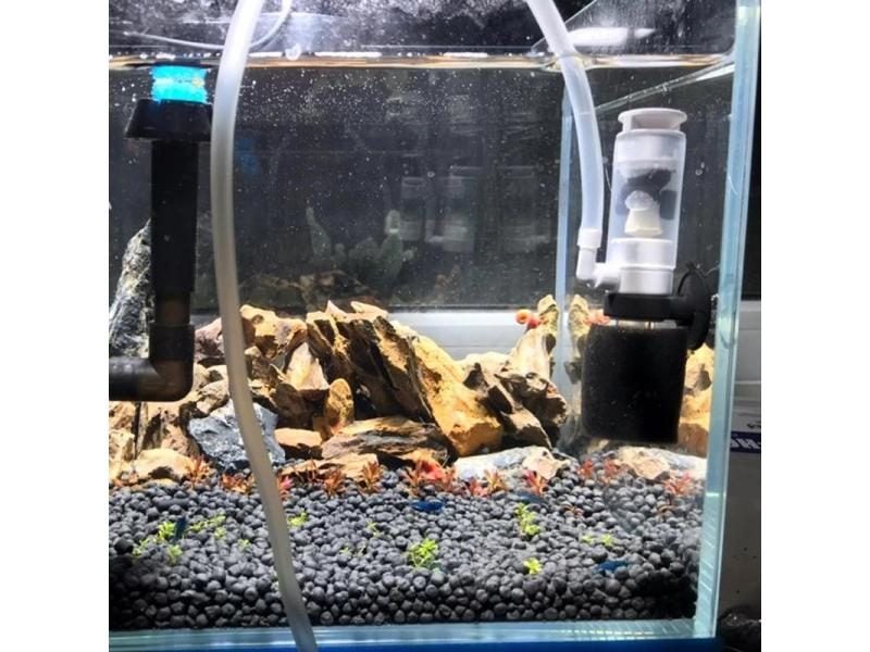 Fish Tank Filter Carousel 2