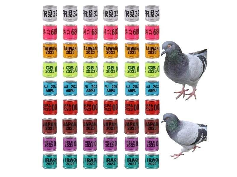 Bird Training Tool / Multicolor Pigeon Foot Ring With Word Earrings Quality Carousel 2