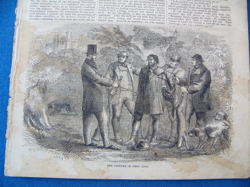 1860 Cassell's Illustrated Family Paper Carousel 2