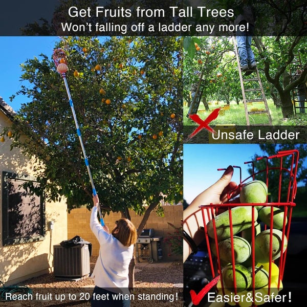 Fruit Picker Pole with Basket Telescoping Carousel 7
