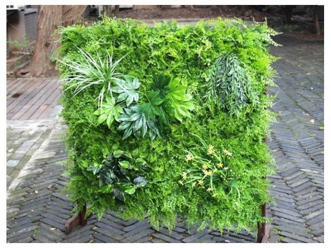 Artificial Green Wall Fern Mixed 1m² Carousel 2