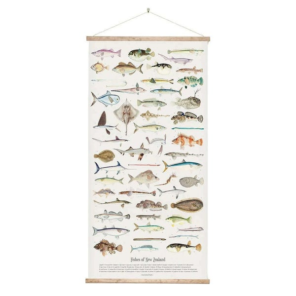 100% NZ Fishes of New Zealand Wall Chart Carousel 1