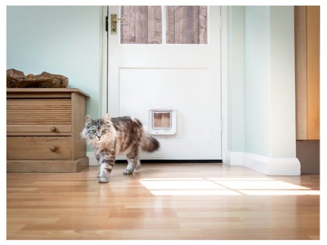 SureFlap DualScan Microchip Cat Door White Carousel 6
