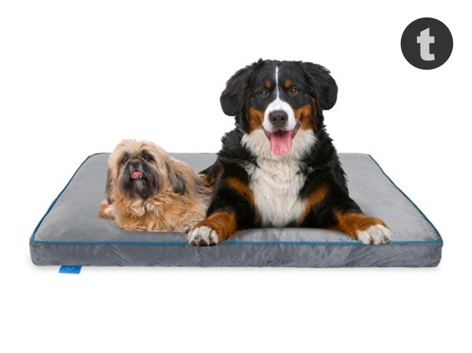 Fetch Orthopedic Memory Foam Dog Bed 12cm Thick X… Carousel 1