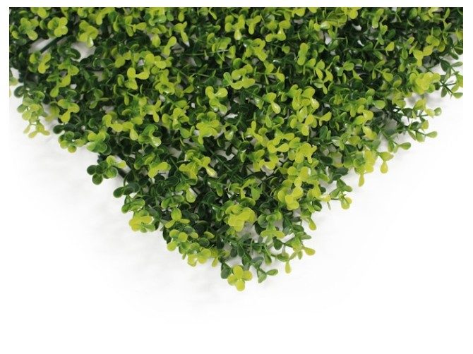 Artificial Hedge Wall Boxwood Spring Growth 3m² Carousel 2