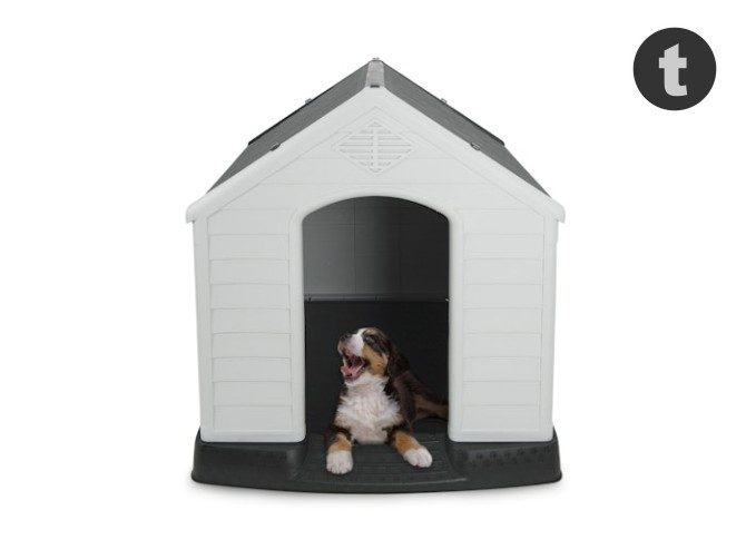 Fetch Dog Kennel Large Carousel 1