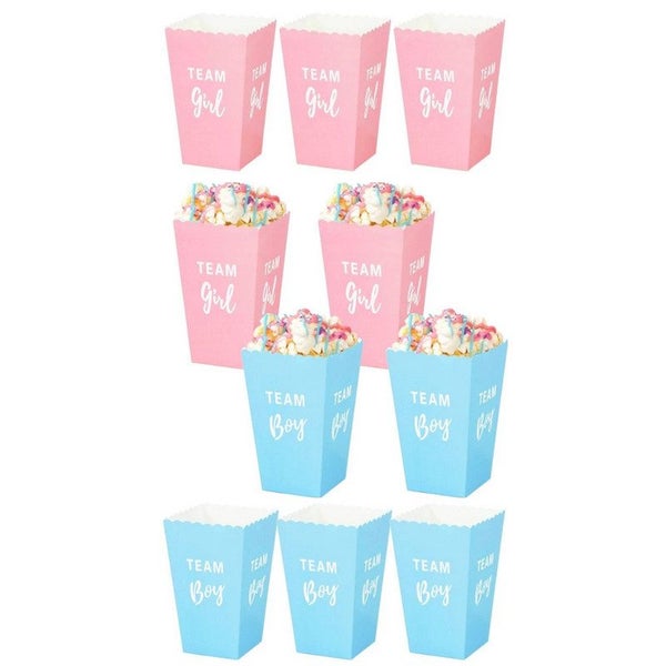 Gender Reveal Baby Shower Party Favours Gifts Boxes Team Boy or Girl Vote Games Carousel 1