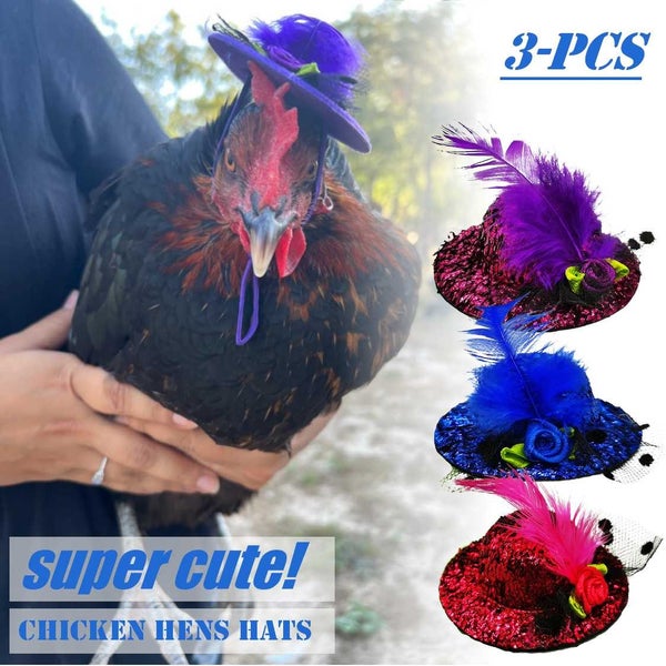 Poultry Cute Chicken Hens Hats 3Pcs *Local Buy* Carousel 1