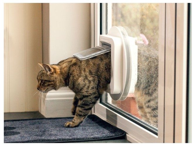 SureFlap Microchip Cat Door White Carousel 2