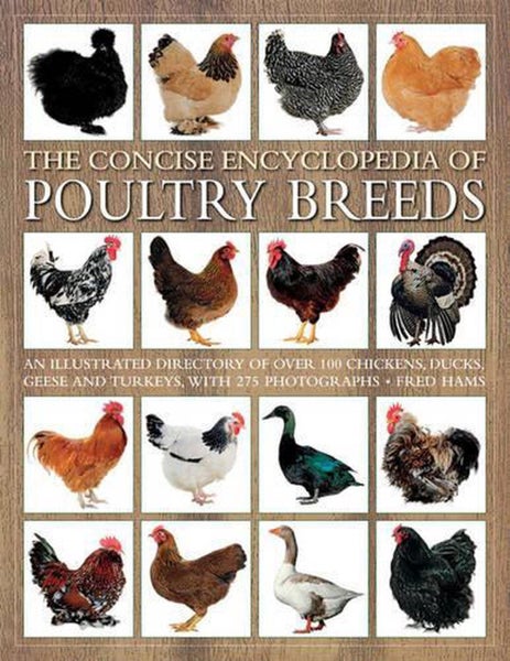 Concise Encyclopedia of Poultry Breeds by Fred Hams - Paperback Carousel 1