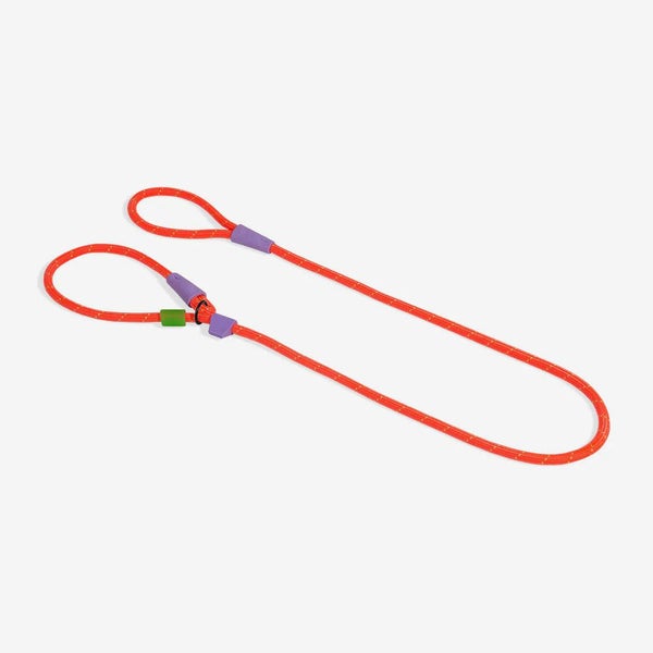 Zee.Dog Slip-N-Lock Leash Carousel 1