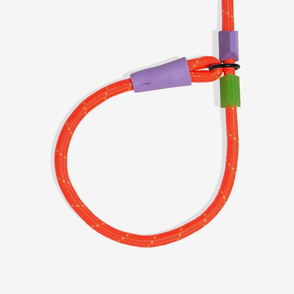Zee.Dog Slip-N-Lock Leash Carousel 2
