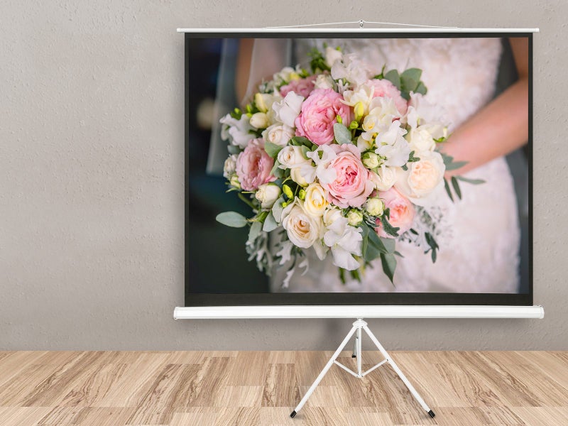 Projector Screen Carousel 1