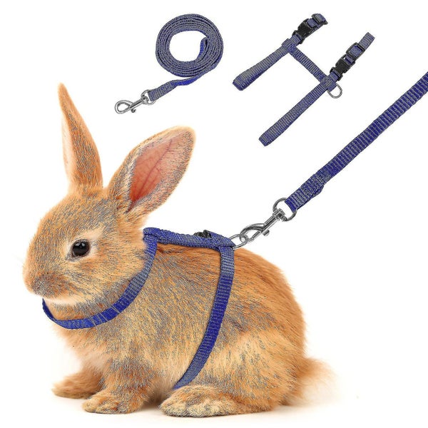 Hamster Accessories Ferret Harness Rat Harness Retractable Cat Leash Harness Pu Carousel 1