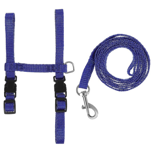 Hamster Accessories Ferret Harness Rat Harness Retractable Cat Leash Harness Pu Carousel 2