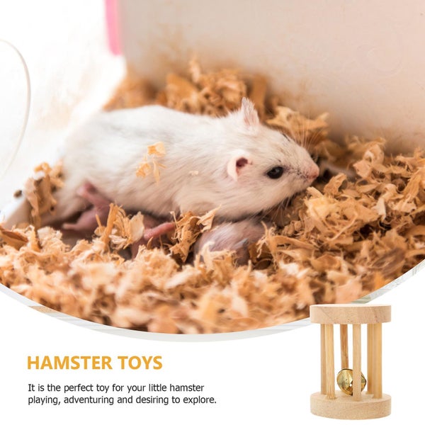 5 Pcs Parrot Toys Guinea Pig Toys Rabbit Biting Plaything Pet Supplies Birds St Carousel 3