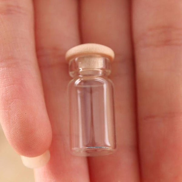 6pcs Miniature Tall Glass Jars Empty Mini Glass Jar Mini House Decoration629888616879381127